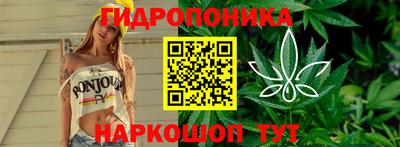 jwh Будённовск